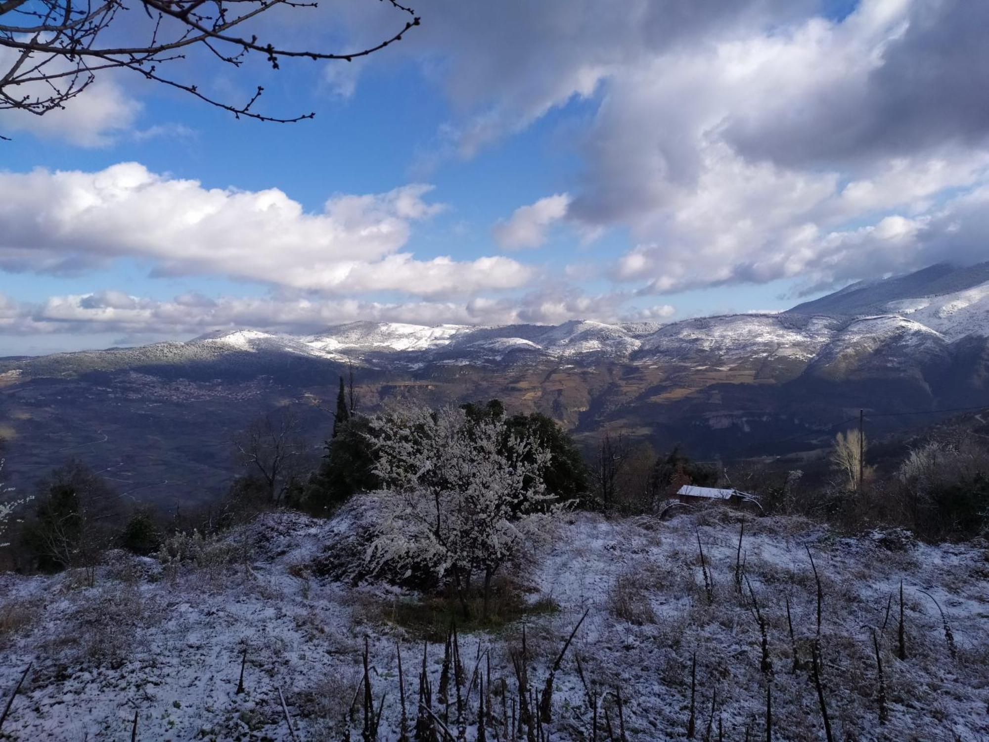 Μικρή Ζήρεια Ενοικιαζόμενη Κατοικία Synikia Mesi Trikalon Luaran gambar